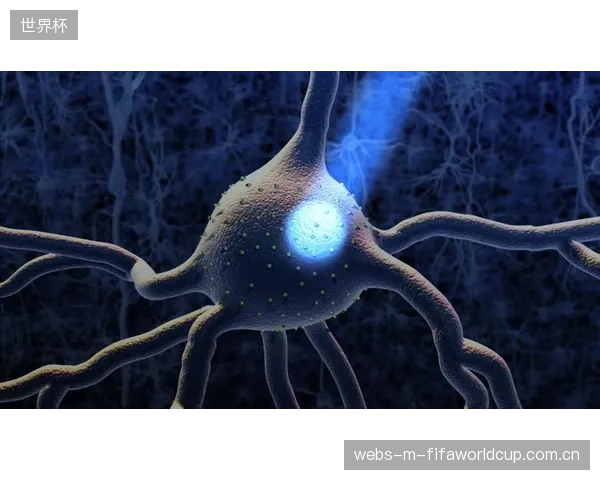 运动员生物特征数据的采集边界，是自动判罚协议当下最严峻的伦理挑战